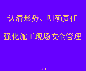 ʩֳȫʩͼ(PPT)