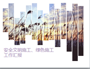ѧ¥ȫɫʩ㱨