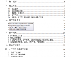 ʮ�����ܡ�����ǽ�ṹ�ۺϰ칫¥ʩ����֯��� 59P 