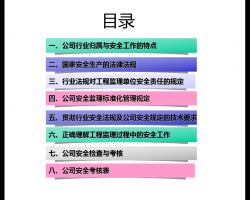 ҵȫ빫˾ȫ涨 27P