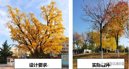 QQ��ͼ20200929144602.png