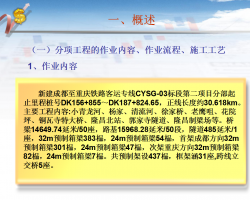 ·900TŻҵָ飨PPTʽ