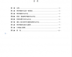 ȫʩ涨 13P