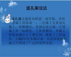 ׼衢ơ巨ʩ 28P