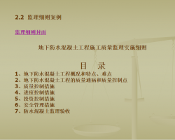 滮ʵʩϸ 10P