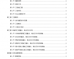 ʩ֯Ʒ 300P