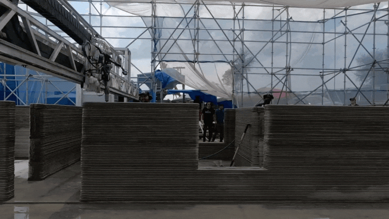 5.gif