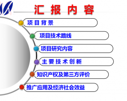 ֧ṹоӦ 65P