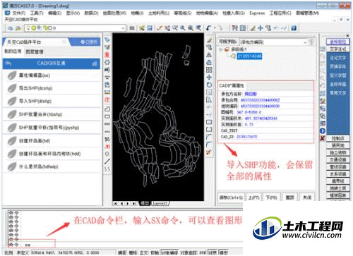 5.gif