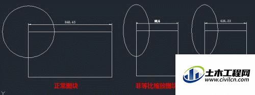 7.gif