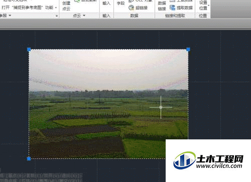 5.gif