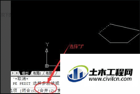 4.gif