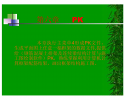 PKPM̳֮PKļ