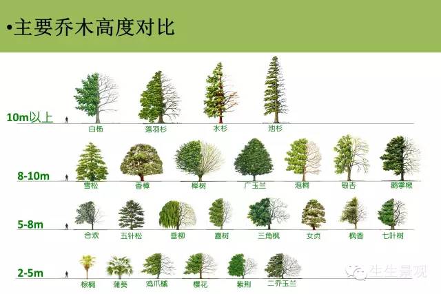 植物组团式配置技法,基础手法收藏!_2 植物组团式配置技法,基础手法收藏!_2