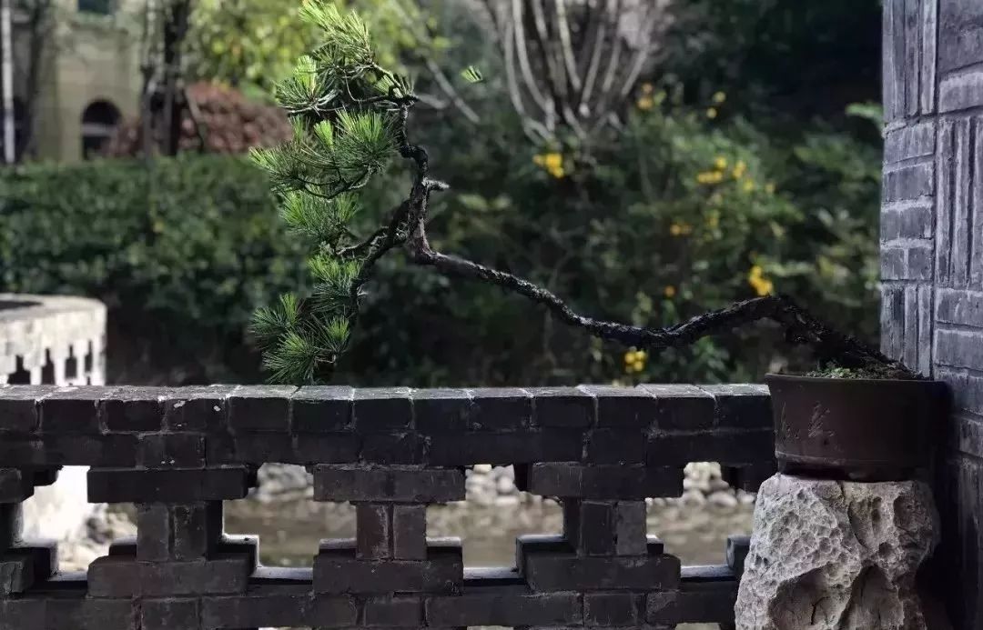 ͼƬ