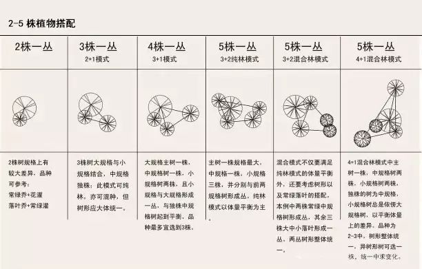 植物组团式配置技法,基础手法收藏!_13 植物组团式配置技法,基础手法收藏!_13