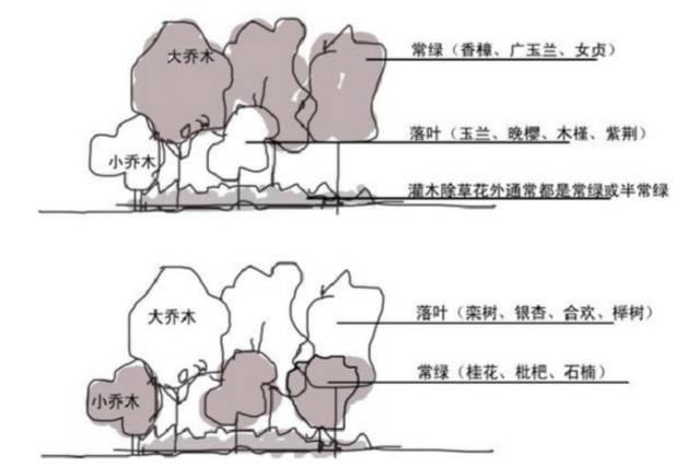 植物组团式配置技法,基础手法收藏!_14 植物组团式配置技法,基础手法收藏!_14