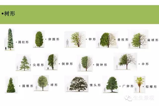 植物组团式配置技法,基础手法收藏!_3 植物组团式配置技法,基础手法收藏!_3
