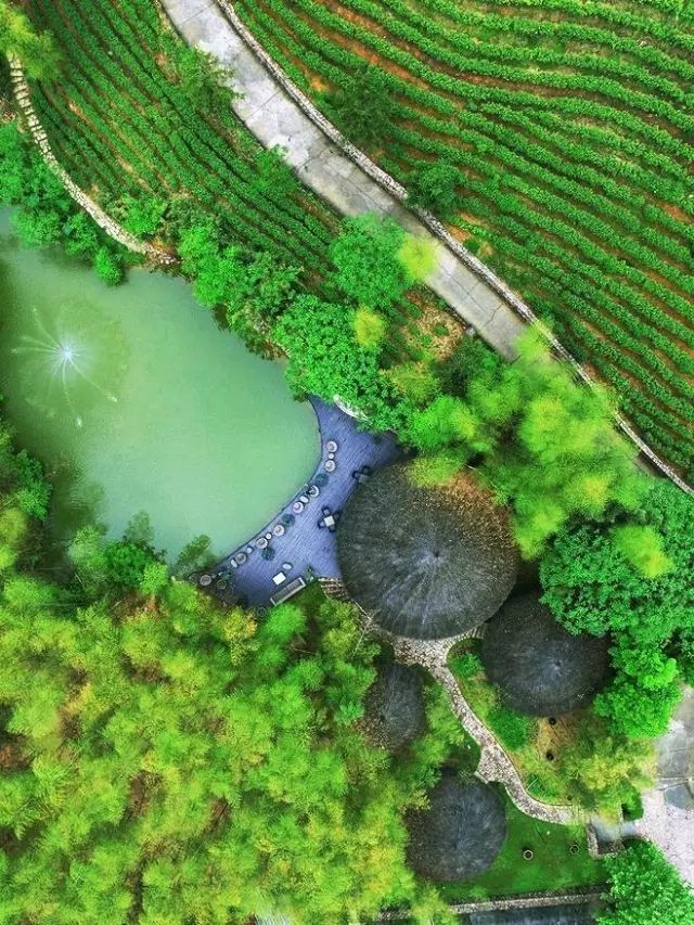 植物组团式配置技法,基础手法收藏!_59 植物组团式配置技法,基础手法收藏!_59