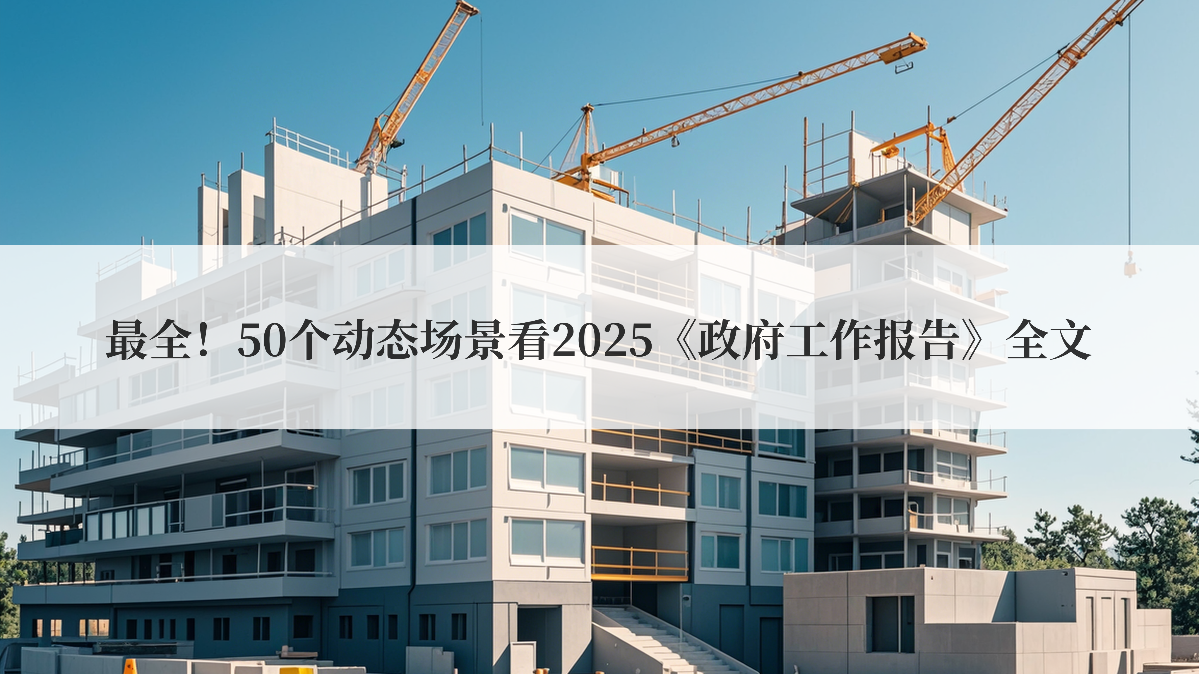ȫ50̬2025桷ȫ
