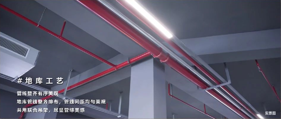 19.png