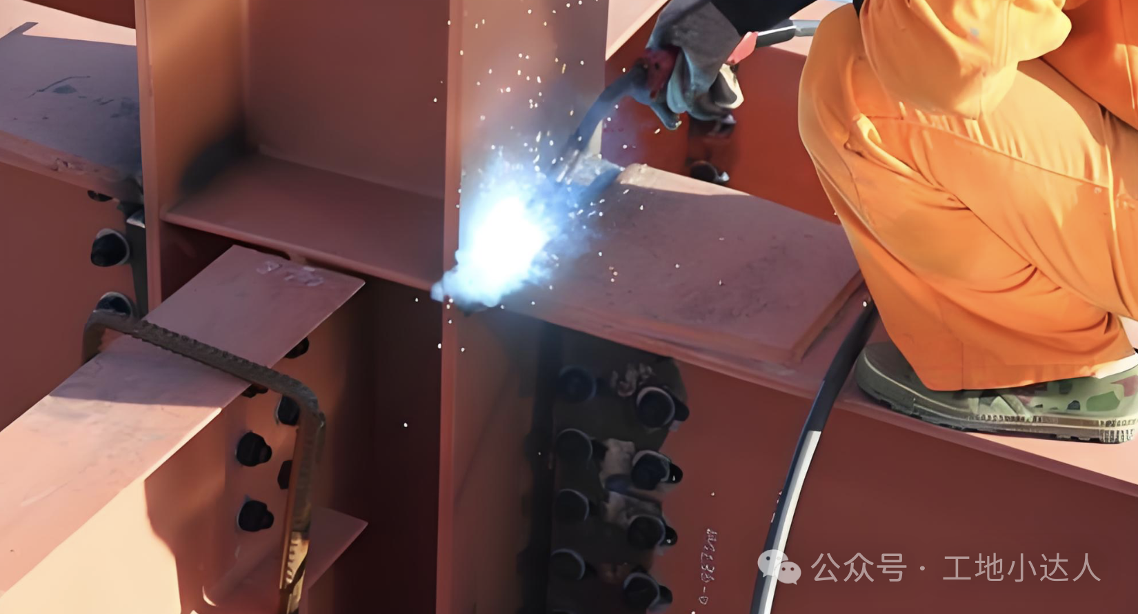 1 - ����(1).png