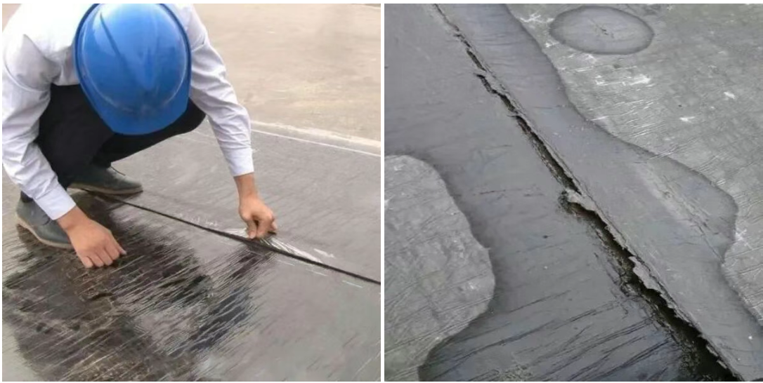 1 - ����(1).png