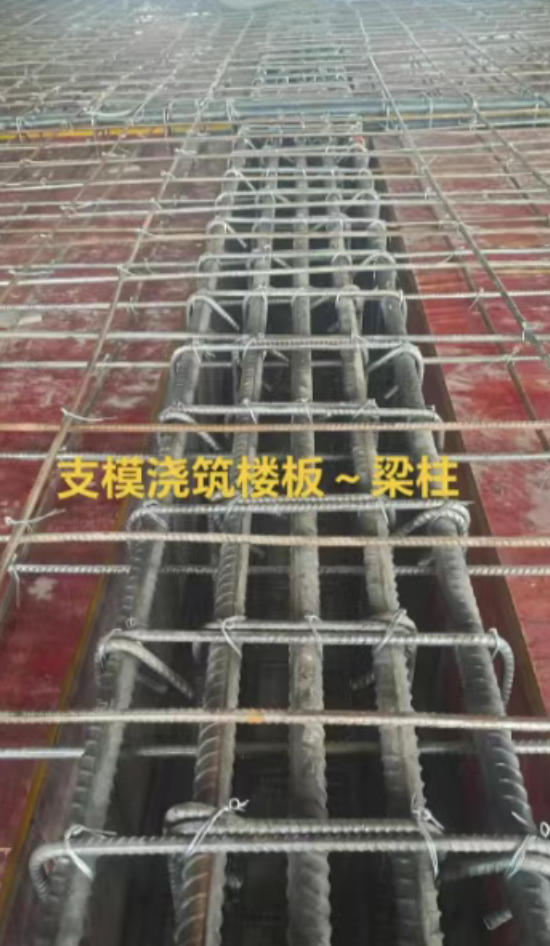 1 - ����.png