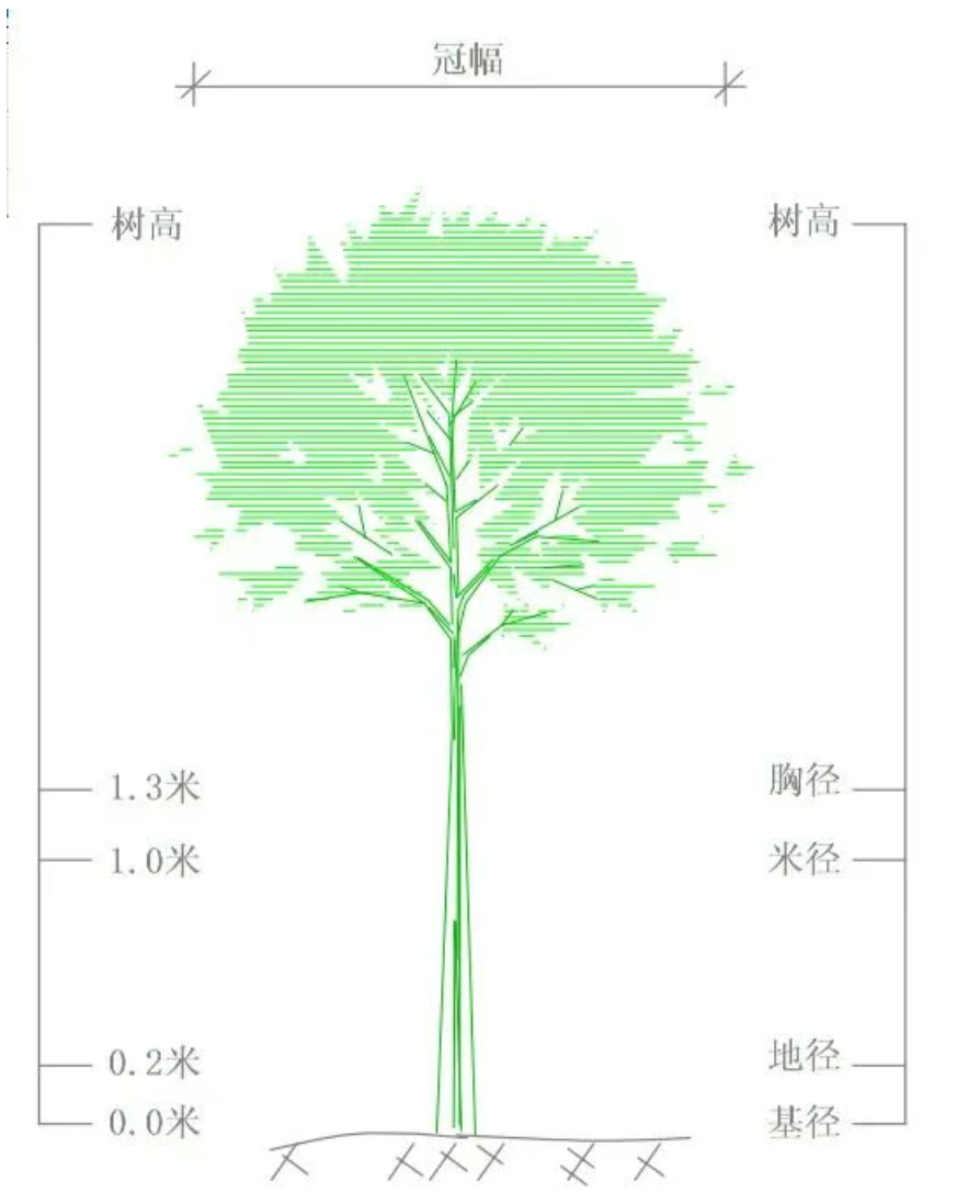 1 - ����(1).png