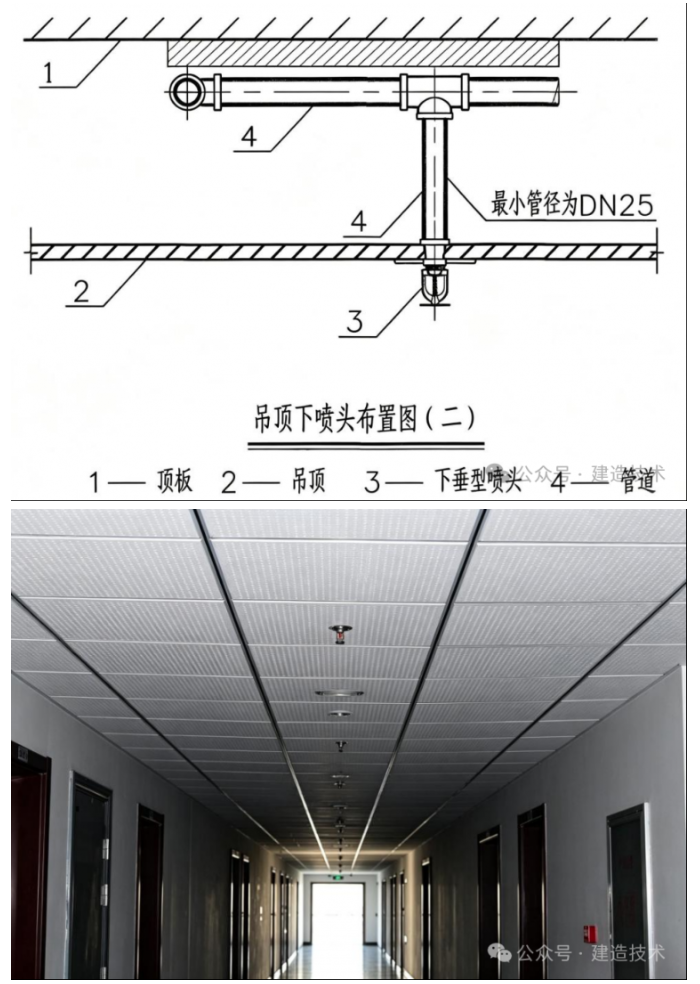 1 - 副本(1).png