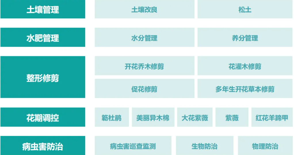 1 - 副本(1) - 副本.png