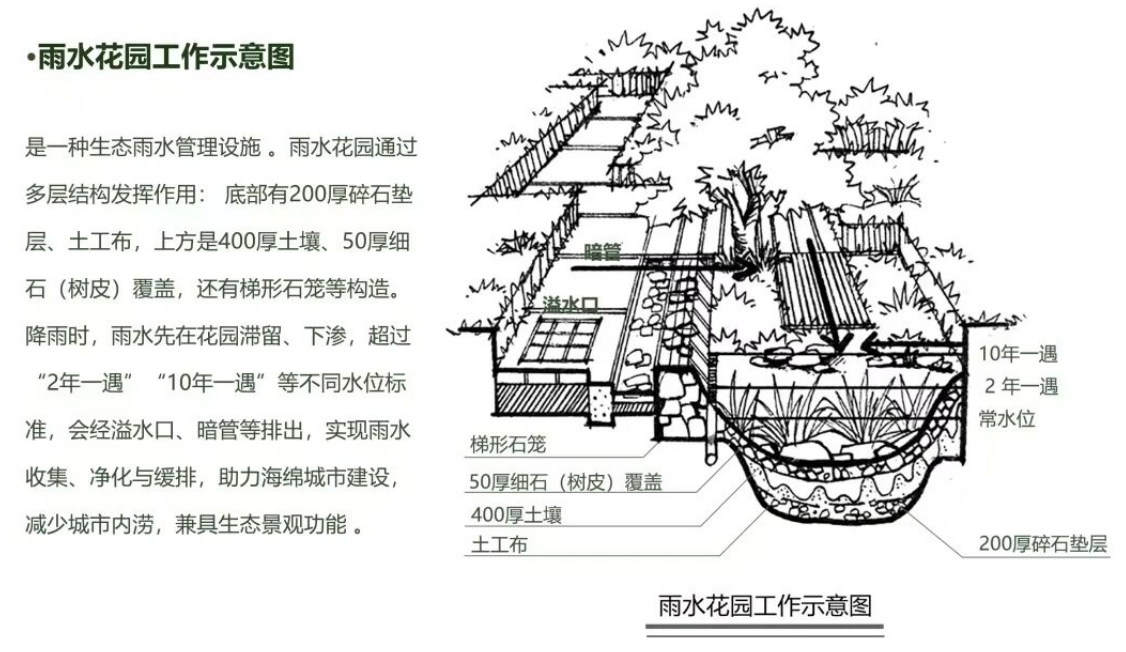 1 - ����(1) - ����.png