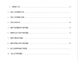 ʩˮ 41p