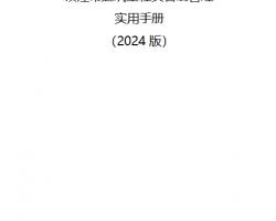 нʵƹʵֲᣨ2024棩