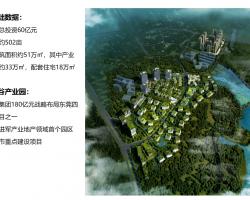 ǻ԰һ廯ƽ跽135p