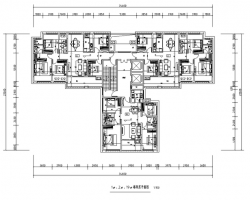 T3-116+116+100סլ����ͼ���