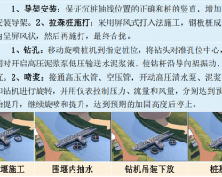 ��̬�����ۺ�������Ŀ�������̼�����2023